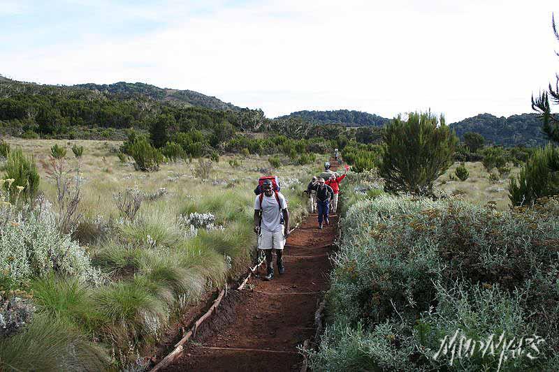 Mud Maps Africa Kili 2233